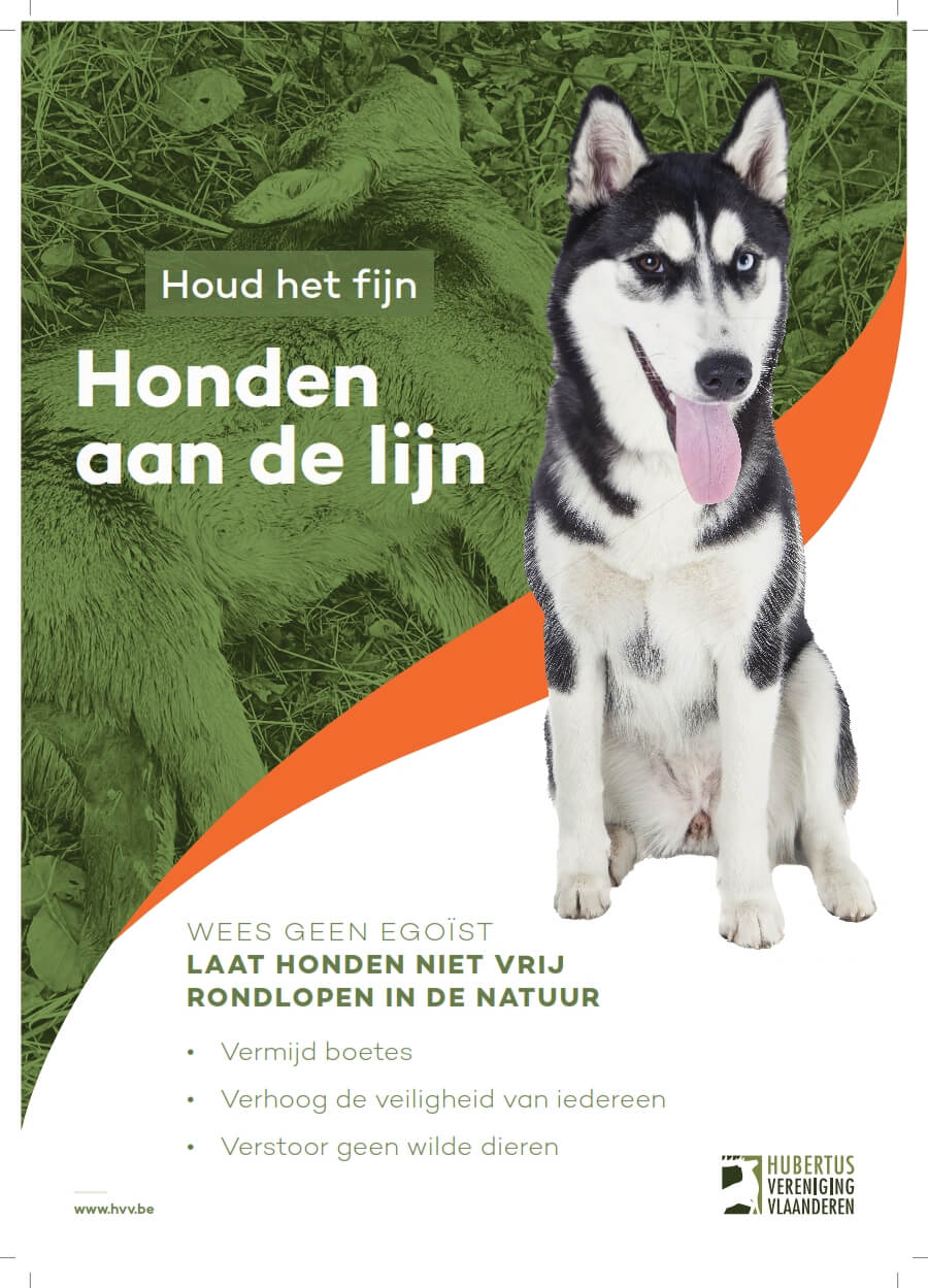 Heel veel goeds Kerkbank buik Bord honden aan de lijn NL& FR - Hubertus Vereniging Vlaanderen