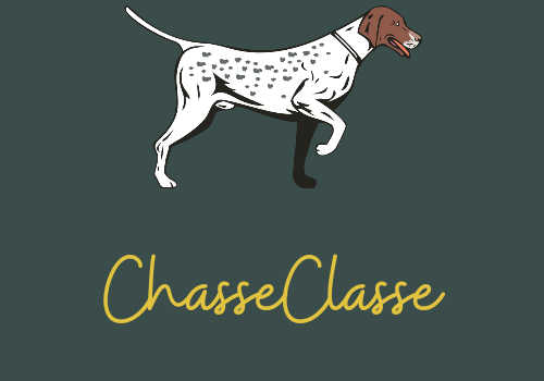 Chasse Classe Expo