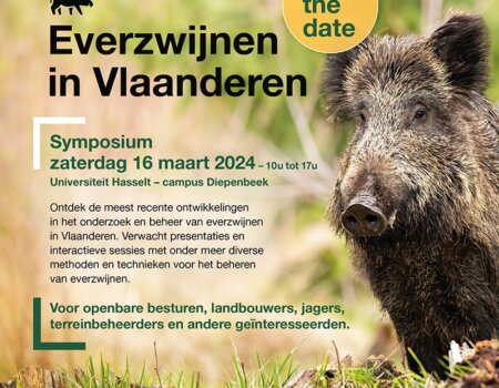 Symposium: everzwijnen in Vlaanderen