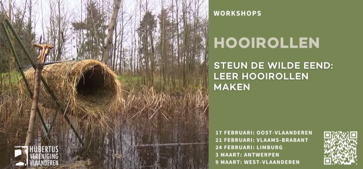 Workshop kunstmatige nestplaatsen wilde eend West-Vlaanderen