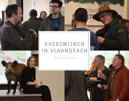 Symposium: everzwijnen in Vlaanderen, het verslag