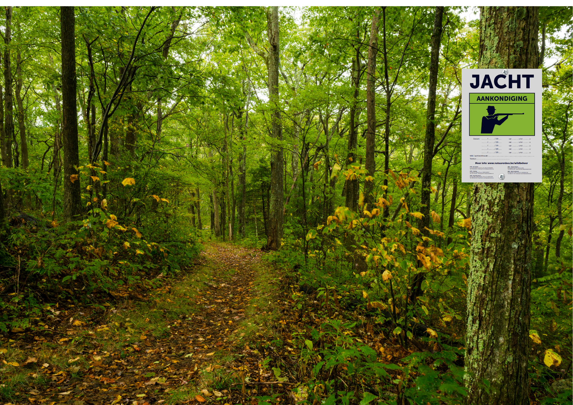 Borden jachtactiviteit - Afbeelding 3