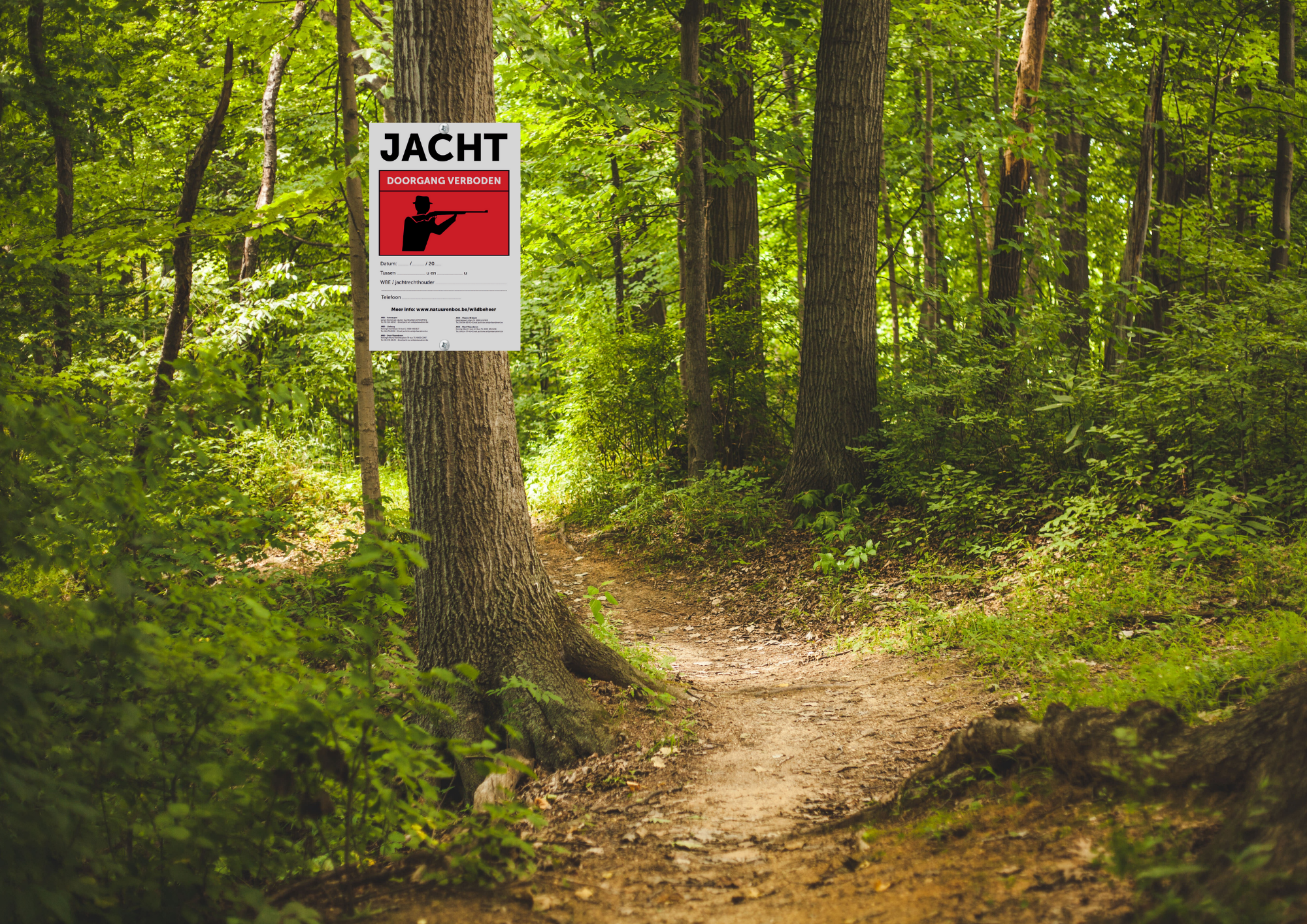 Borden jachtactiviteit - Afbeelding 4