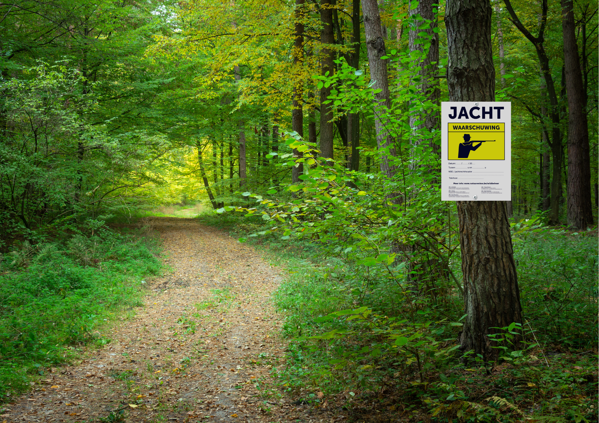 Borden jachtactiviteit - Afbeelding 2