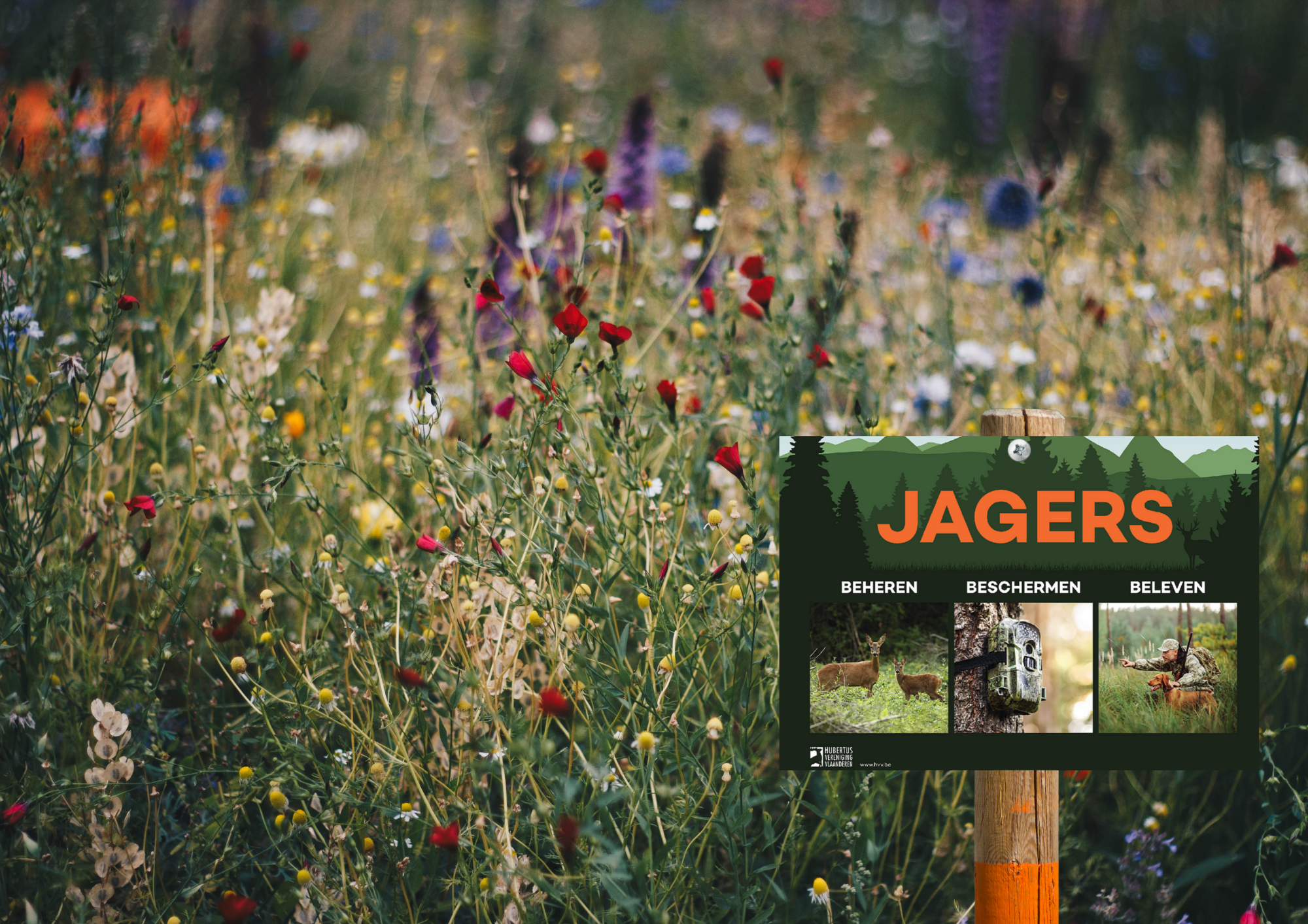Bord wat doen jagers - Afbeelding 2