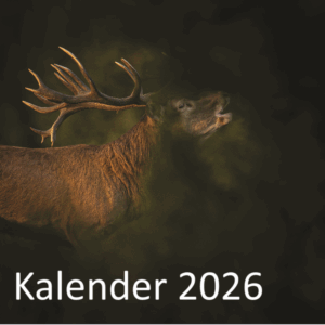 HVV-Kalender 2026