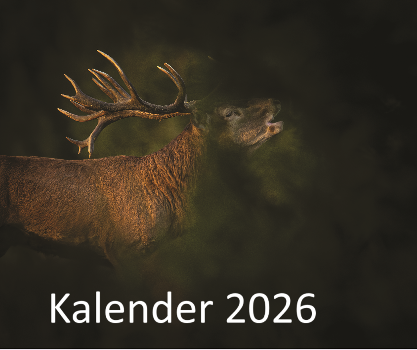 HVV-Kalender 2026