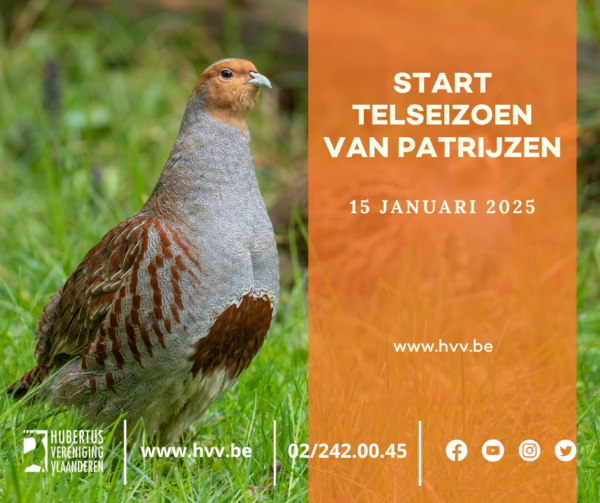 Telprotocol Patrijs: Tips voor telseizoen 2025 - Hubertus Vereniging ...