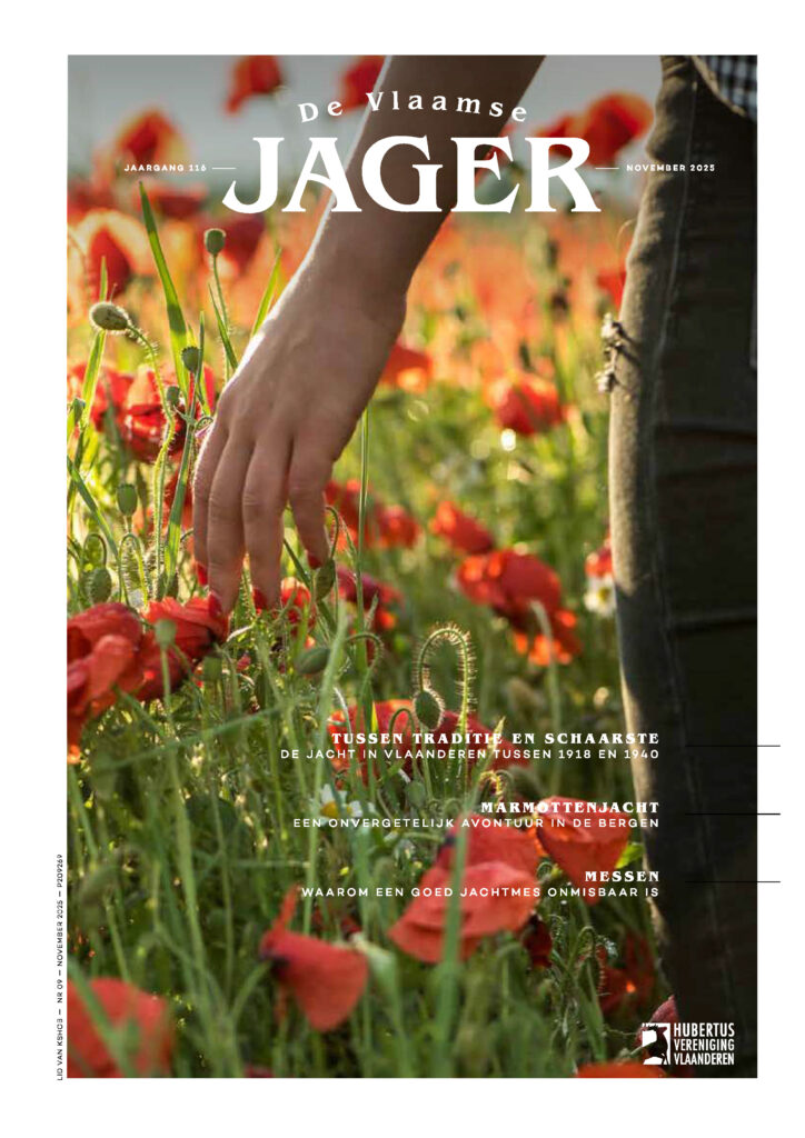 2025_09_November_DVJ_cover