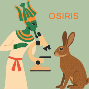 osiris (1)