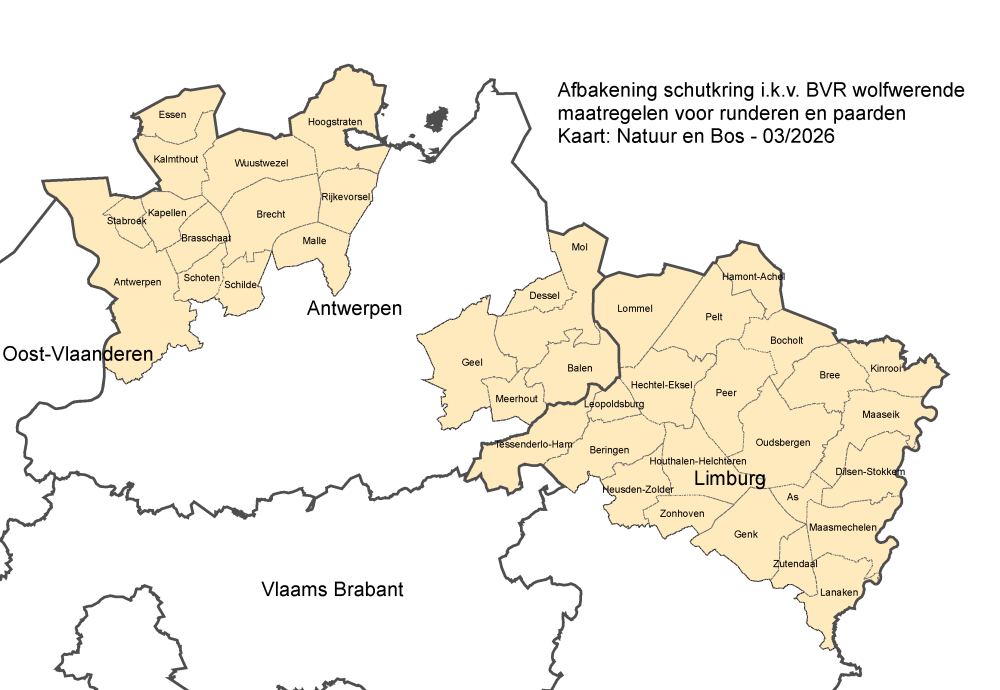 schutkringen_032026